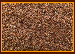 Which seeds are good for health: Flax Seeds